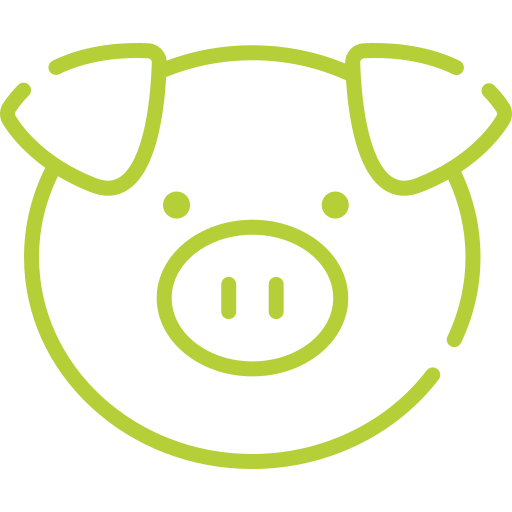 picto d'un cochon